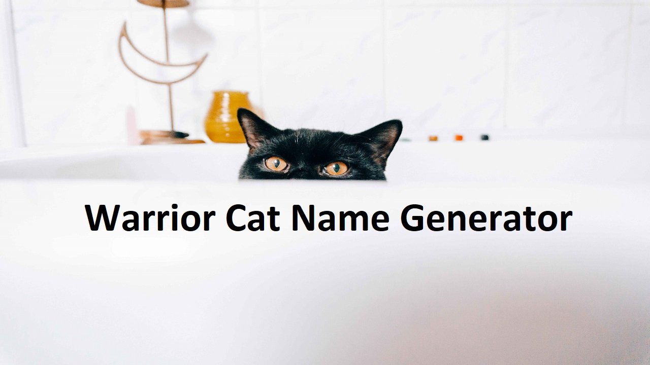 Warrior Cat Name Generator